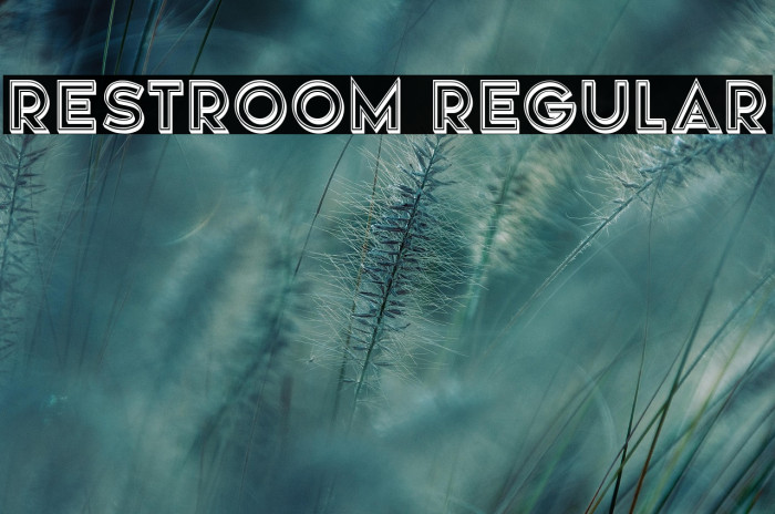 Restroom Regular Example 1