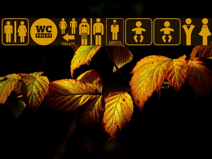 Restroom Font examples