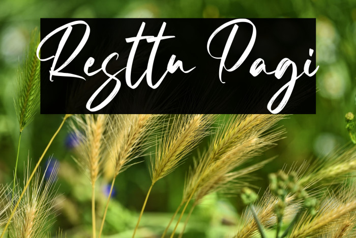 Resttu Pagi Example 3