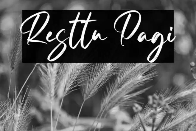 Resttu Pagi Font examples