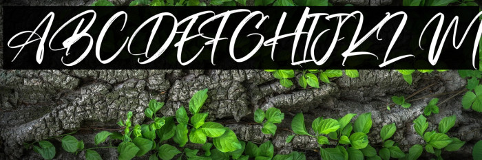 ResttuPagi Example 2