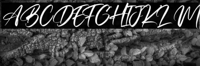 ResttuPagi Font examples