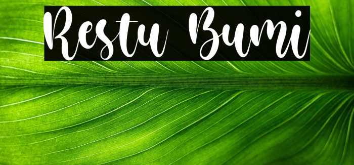 Restu Bumi Example 3