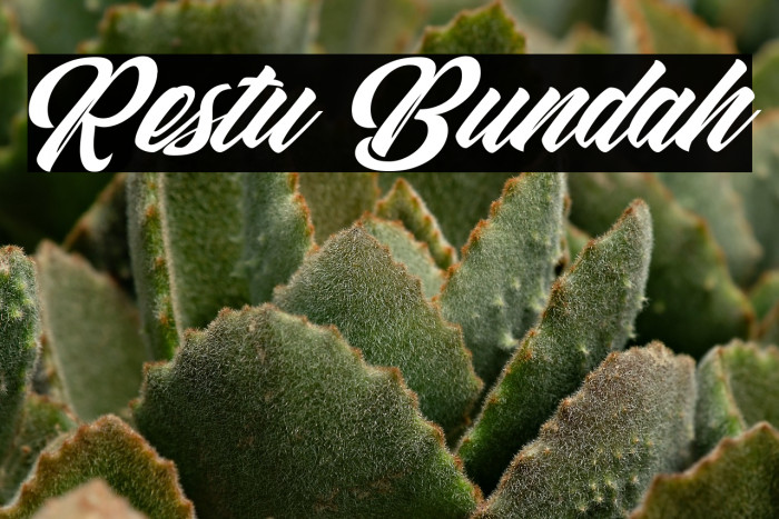 Restu Bundah Example 3