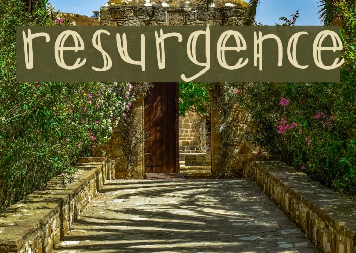 Resurgence Polices examples