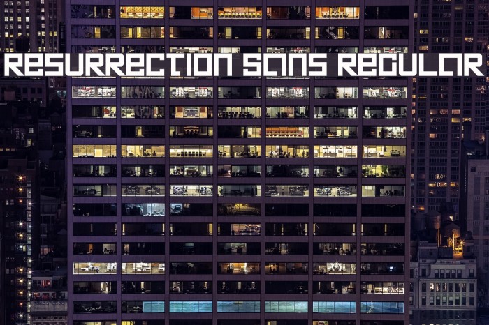 Resurrection Sans Regular Example 1