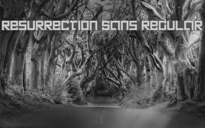 Resurrection Sans Regular Font examples