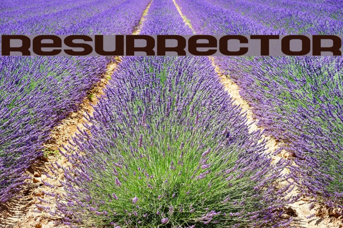 Resurrector Font examples