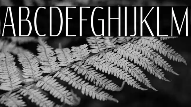 Reswysokr Font examples