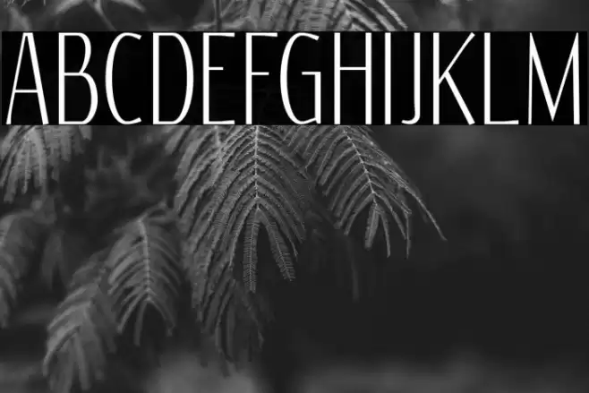 Reswysokr Font examples