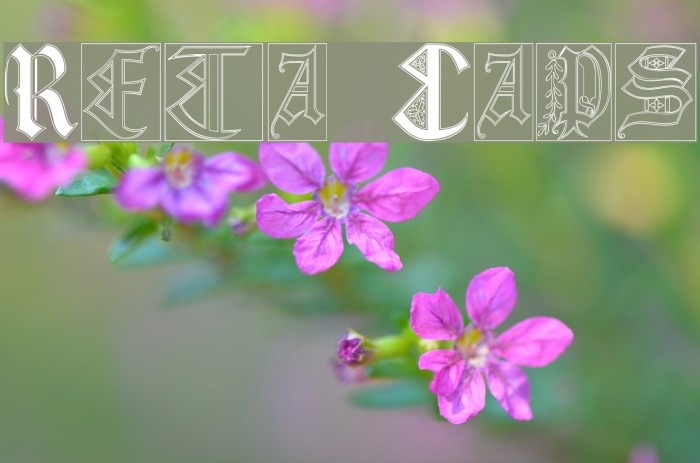 Reta Caps Font examples