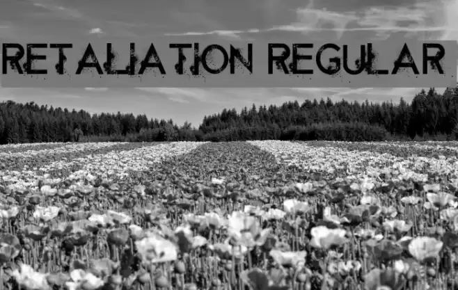 Retaliation Regular Font examples