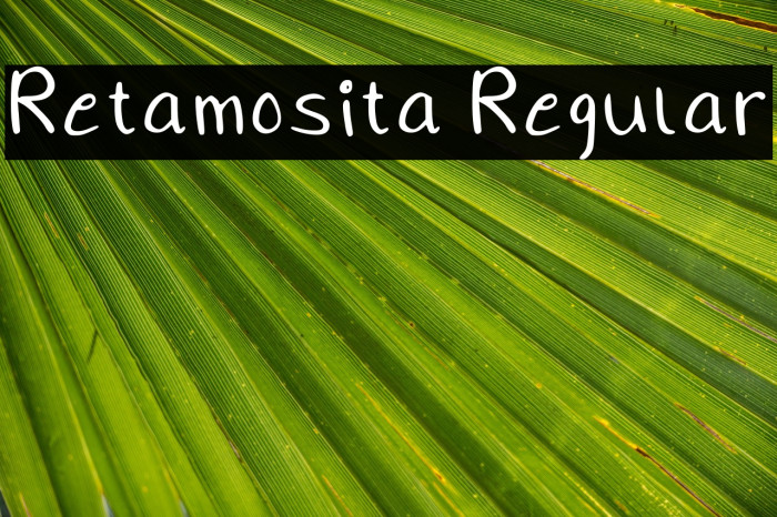 Retamosita Regular Example 1