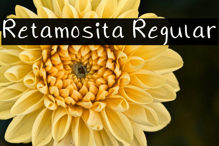 Retamosita Regular Example 2