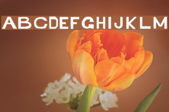 Retardo Arizona Font examples