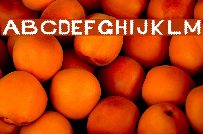 Retardo Arizona Font examples