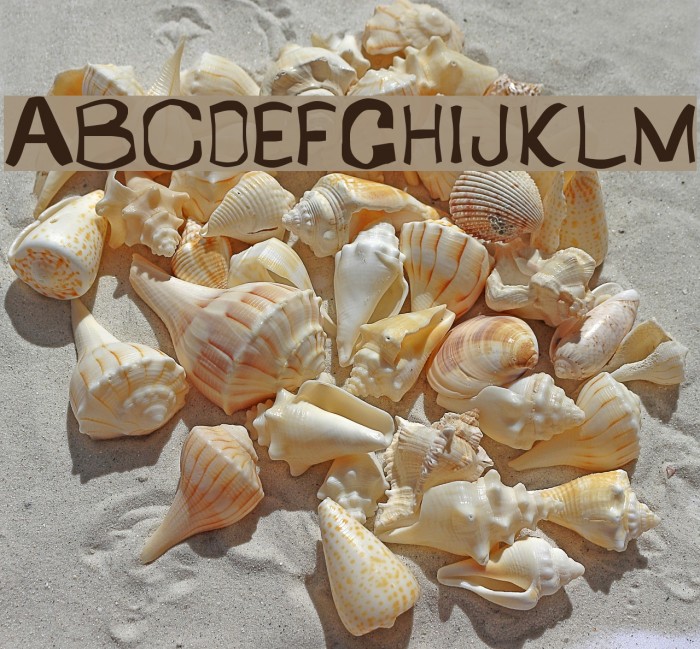 Retardo Bottle Example 2