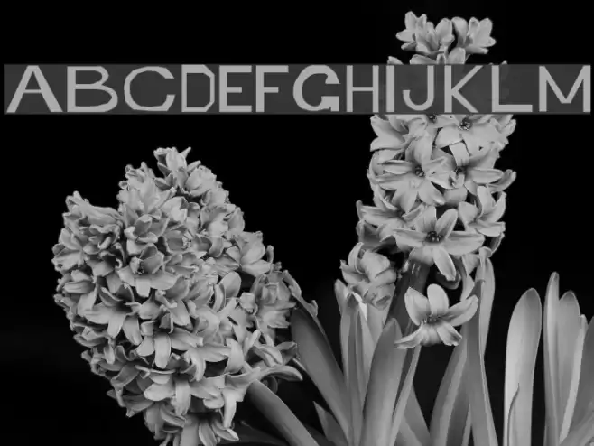 Retardo Emaciated Font examples