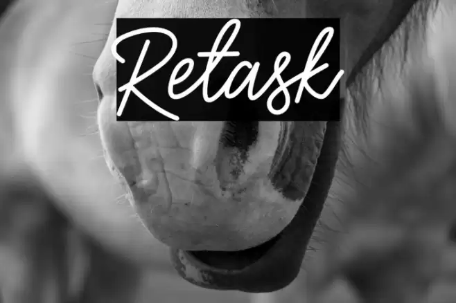 Retask Font examples