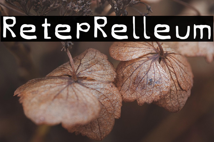 RetepRelleum Example 3