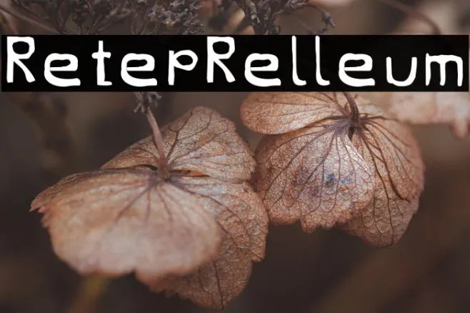 RetepRelleum Example 3