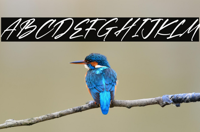 Rethaster Italic Example 1