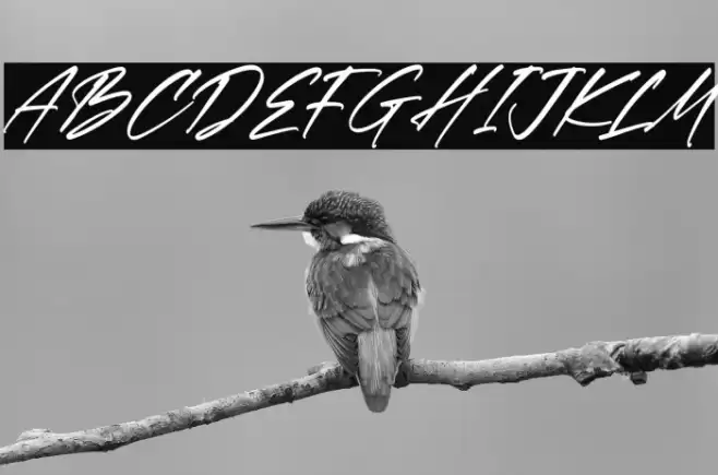 Rethaster Italic Font examples