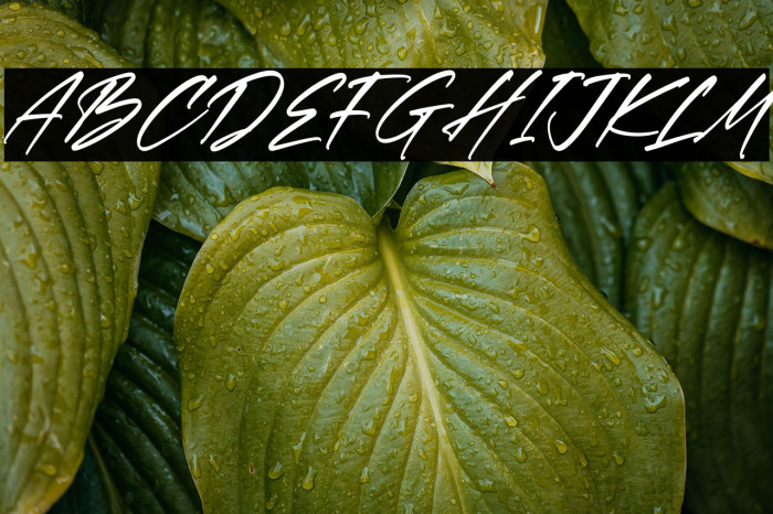 Rethaster Italic Example 3