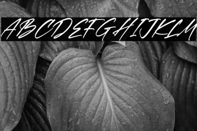 Rethaster Italic Font examples