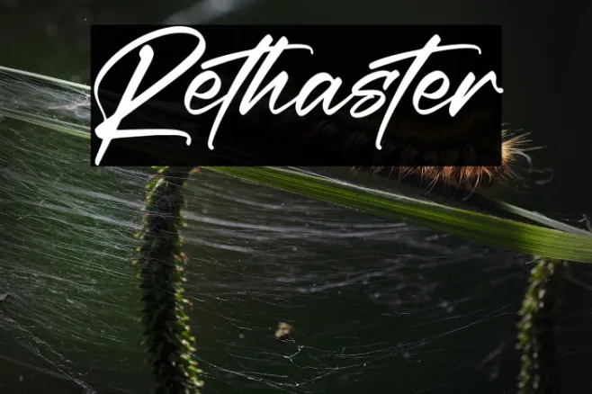 Rethaster Example 3