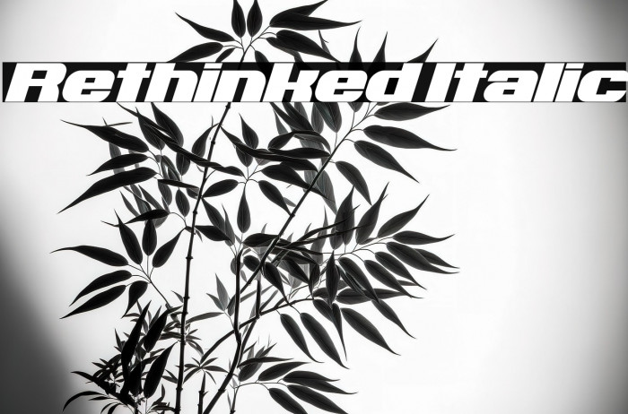 Rethinked Italic Example 1