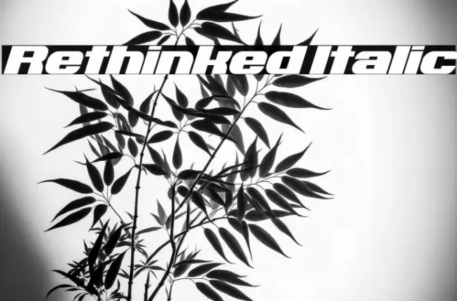 Rethinked Italic Font examples