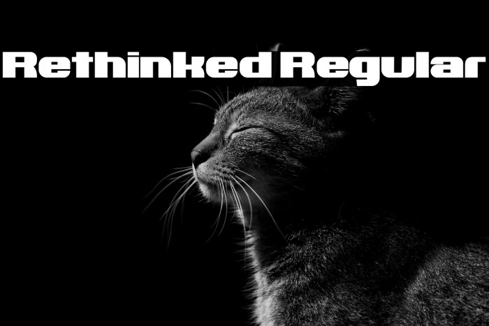 Rethinked Regular Example 1