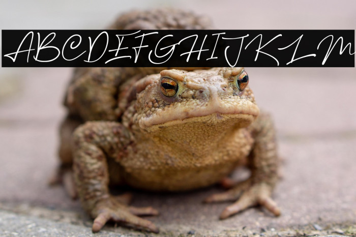 Rethinker Slant Example 1