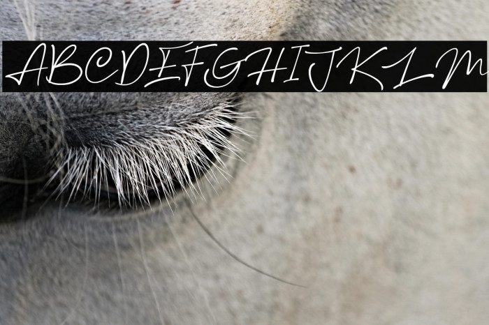 Rethinker Slant Example 2