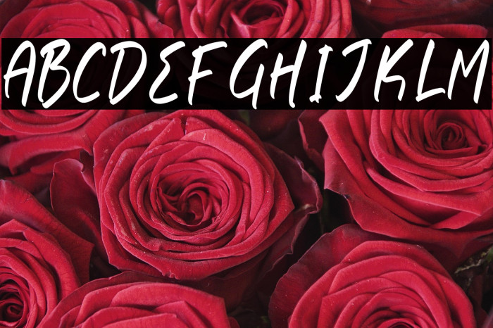 Rethogen Atomics Example 2