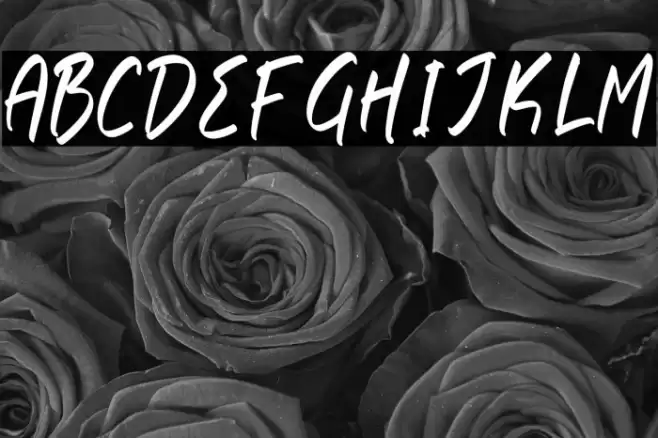 Rethogen Atomics Fuentes examples