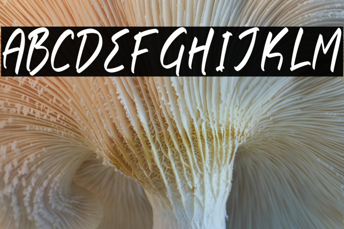 Rethogen Atomics Example 3