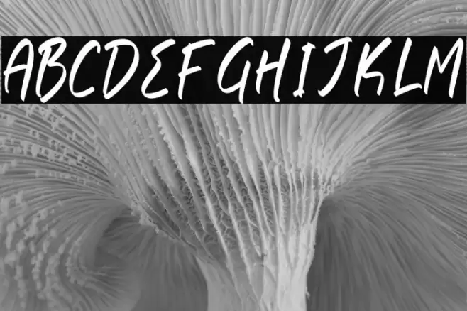 Rethogen Atomics Fuentes examples