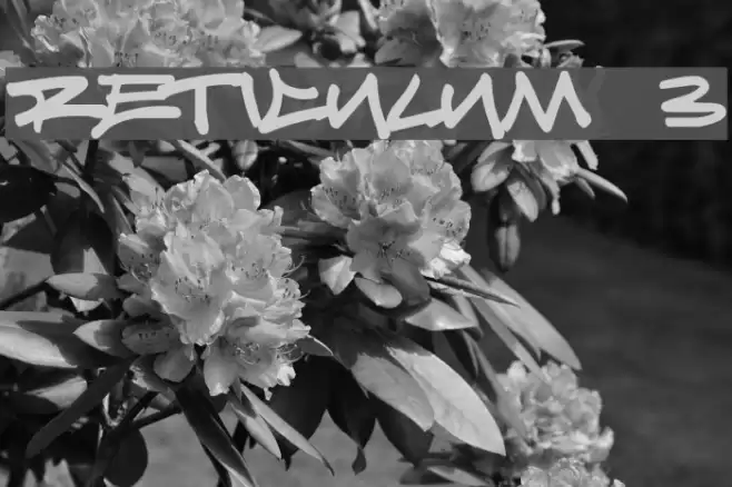 Reticulum 3 Font examples