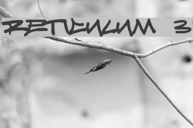 Reticulum 3 Font examples