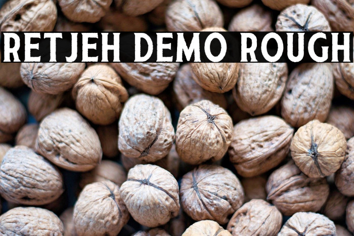 Retjeh Demo Rough Example 2