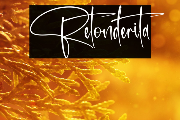 Retonderita Example 2