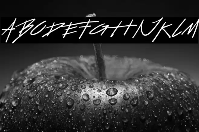 Retquizer Font examples