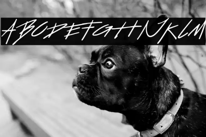 Retquizer Font examples