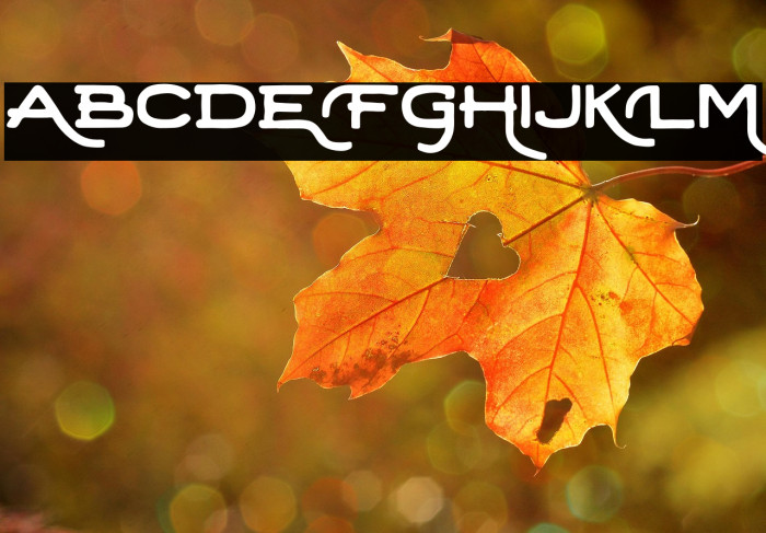 Retrica-Regular Example 1