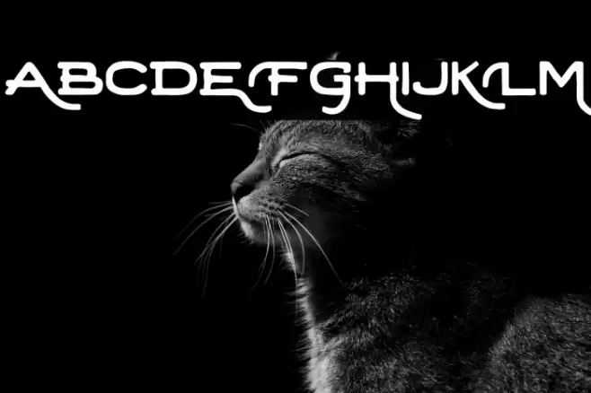 Retrica-Regular Font examples