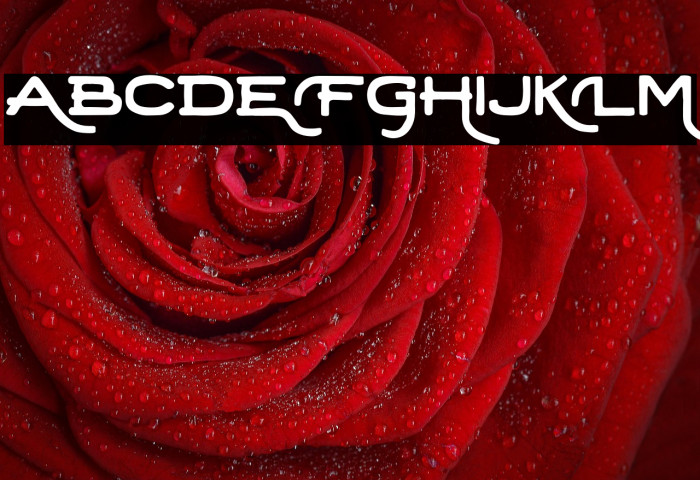 Retrica-Regular Example 3