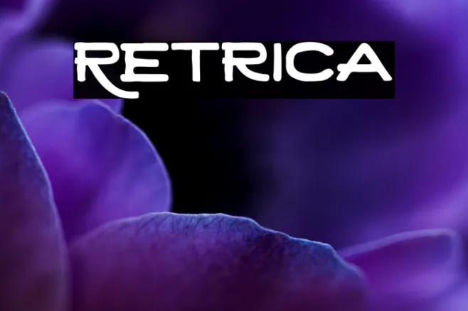 Retrica Example 3