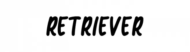Retriever  免费字体下载